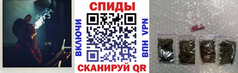 блэк спрут   Дубовка  БУТИРАТ буратино 